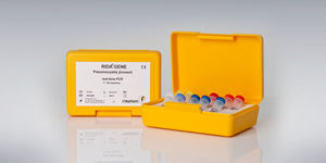 Pneumocystis jirovecii test kit