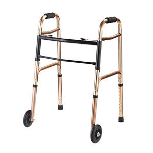 2-wheel mobility walker
