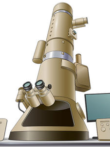 SEM electron microscope 1