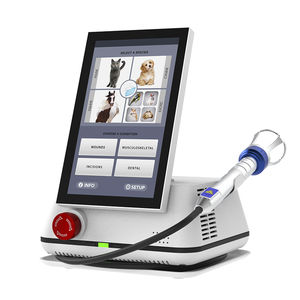 veterinary dental surgery laser