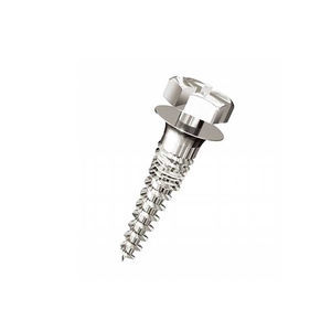 metal implant screw