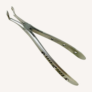 adult dental extraction forceps 1