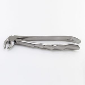 lower molar dental extraction forceps