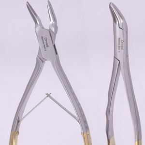 premolar dental extraction forceps