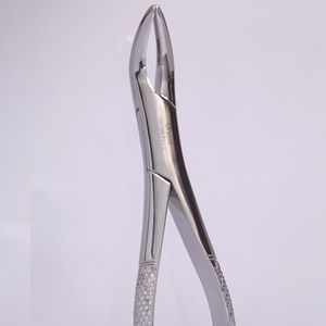 tooth root extraction forceps