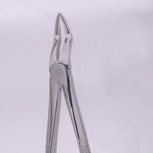 tooth root extraction forceps