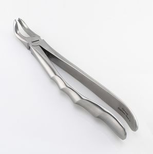 lower molar dental extraction forceps