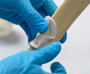 synthetic veterinary bone substitute