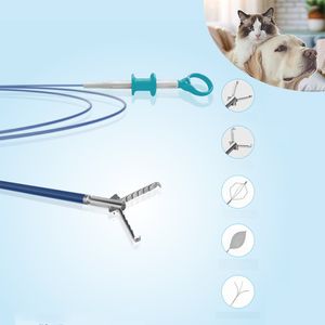 veterinary forceps 1