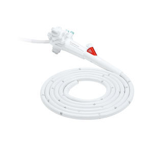 video veterinary gastroscope