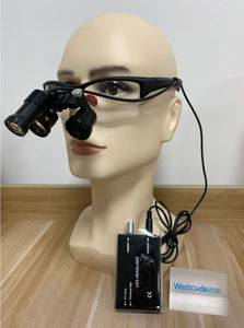 glasses-type binocular loupe