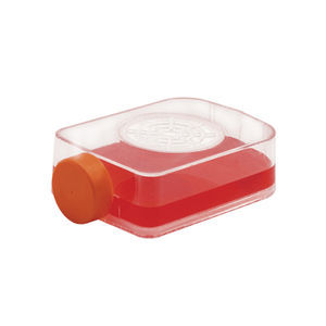 cell culture flask