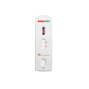 rapid feline leukemia test