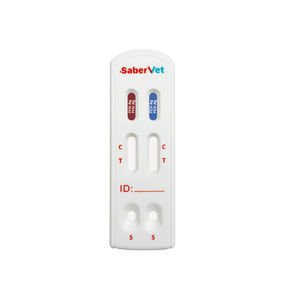 rapid Chlamydia test
