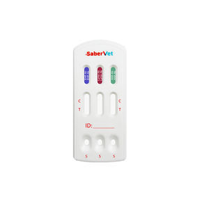 rapid infectious disease test