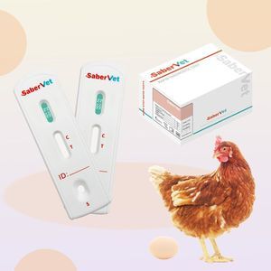 rapid infectious disease test 1