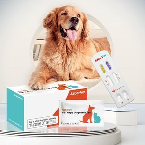 rapid respiratory infection test 1