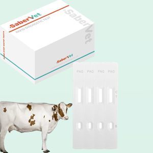 pregnancy test 1