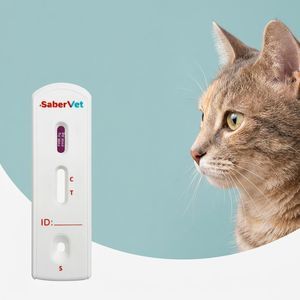 rapid heartworm test 1