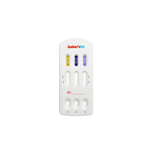 rapid canine distemper test 1