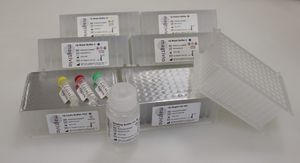 DNA extraction test kit