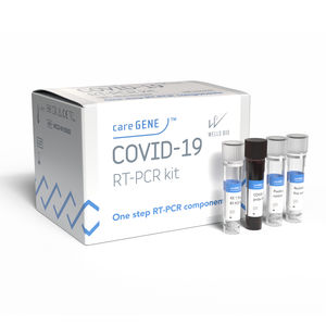 RT-PCR detection kit