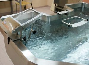 hydromassage bathtub with shower