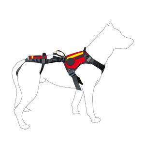 veterinary harness 1