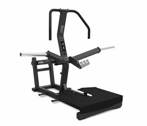 squat gym station