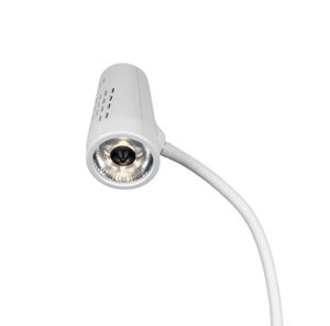 veterinary examination light