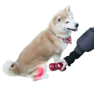 diode veterinary laser