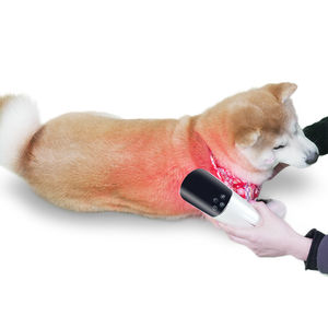 veterinary photostimulation laser