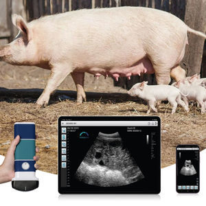 hand-held veterinary ultrasound system