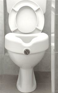 bathroom toilet lift 1