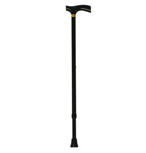 anti-slip walking stick 1