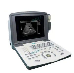portable ultrasound system
