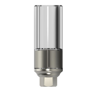 plastic implant abutment