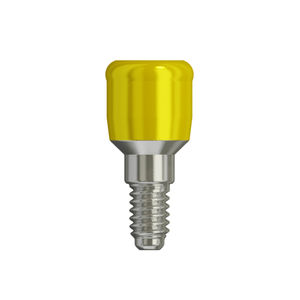 titanium implant abutment