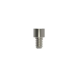 polishing prosthodontic screw