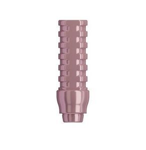 titanium implant abutment 1