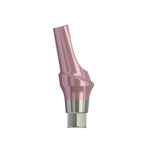 titanium implant abutment 1