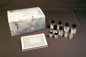 research test kit 1