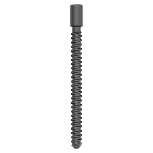 femur compression bone screw