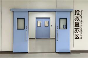 service door