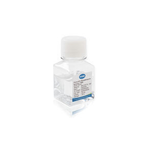 antibiotics reagent