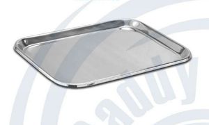 stainless steel instrument tray