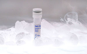 nucleic acid reagent 1