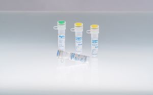 reverse transcriptase reagent 1