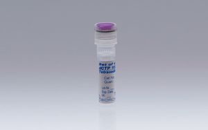 dNTP solution reagent