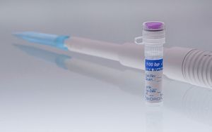 DNA ladder 1